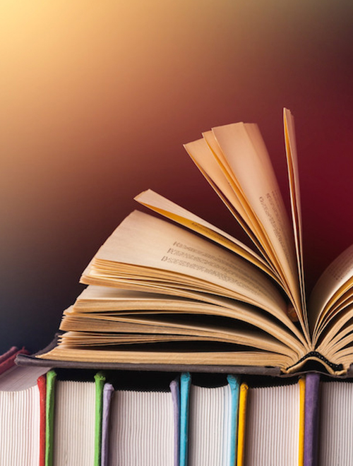 Our Successful History